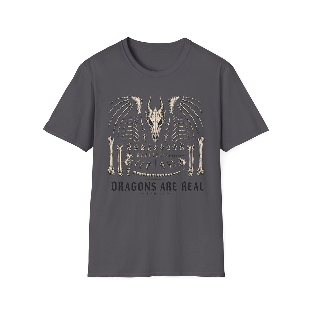 Dragons Are Real T-Shirt